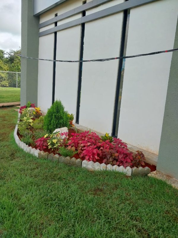 WhatsApp Image 2025-05-14 at 1.21.20 PM